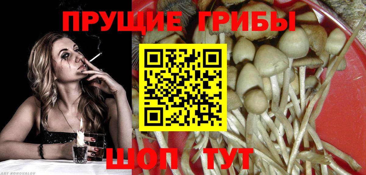 Галлюциногенные грибы мицелий Нерюнгри