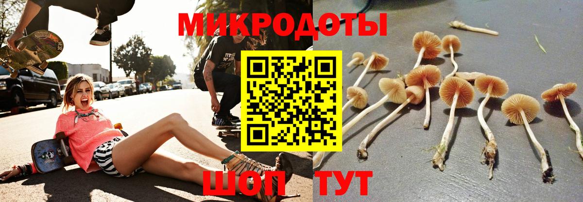 Псилоцибиновые грибы мицелий  Галлюциногенные грибы Psilocybine cubensis  Нерюнгри  Вход с VPN 